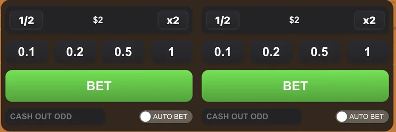 Flappy Rise Game dual bet control panel showing two independent betting slots